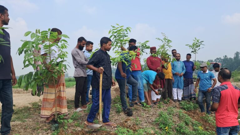 সান্তাহারে রক্তদহ বিলপাড়ে দুই হাজার গাছের চারা রোপণের উদ্যোগ।